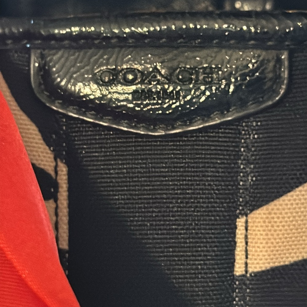 Coach Zebra Bag - Picture 2 of 16